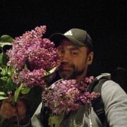  ,   , 43 ,     