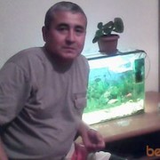  ,   Butia, 53 ,   ,   , c 