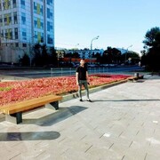  ,   , 28 ,   ,   