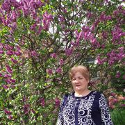 ���������� ����������, ���� ������� ������, 70 ���, ������������ ��� c�������� ���������, ���������