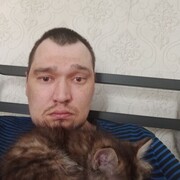  ,  , 41