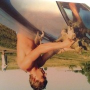 ���������� ��������, ���� ������� Dimaks10, 48 ���, ������������ ��� ������, ����� � ���������, c�������� ���������