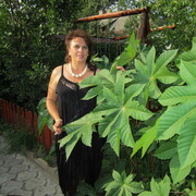  ,   , 65 ,   ,   