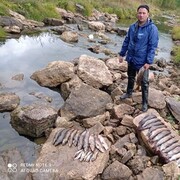 ���������� ����-���, ���� ������� ����, 38 ���, ������������ ��� ������, ����� � ���������