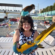  ,   , 58 ,   c 