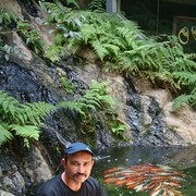  ,   , 50 ,   