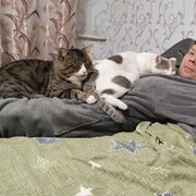  ,   , 44 ,     , c 