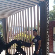 ���������� ������, ���� ������� ������, 36 ���, ������������ ��� ������, ����� � ���������, c�������� ���������, ���������