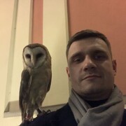  Warszawa,   , 31 ,   ,   , c , 