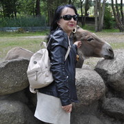  ,   , 43 ,  