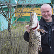 ���������� ����, ���� ������� �����, 43 ����, ������������ ��� ������, ����� � ���������, c�������� ���������