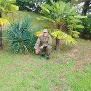  ,   , 55 ,   ,   
