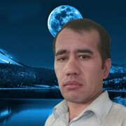  -,   , 41 ,   ,   