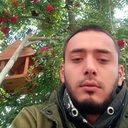  ,   , 31 ,     , c 