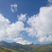  ,   , 54 ,   