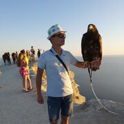 ���������� ���������, ���� ������� ������, 27 ���, ������������ ��� ������, ����� � ���������