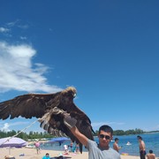 ���������� ������, ���� ������� ������, 37 ���, ������������ 