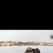 ���������� ��������, ���� ������� Deniska, 38 ���, ������������ ��� ������, ����� � ���������, c�������� ���������