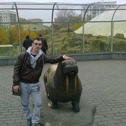 ���������� �������, ���� ������� ����, 38 ���, ������������ ��� ������, ����� � ���������, c�������� ���������