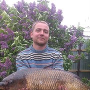 ���������� ������, ���� ������� ����, 38 ���, ������������ ��� ������, ����� � ���������, c�������� ���������