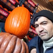  ,   , 36 ,   ,   