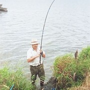 ���������� ������, ���� ������� ������, 66 ���, ������������ ��� ������, ����� � ���������, c�������� ���������