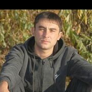 ���������� ���������, ������� �����, 41