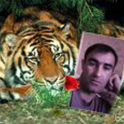  ,   Zaur, 41 ,   