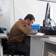 ���������� ������, ���� ������� Halif, 30 ���, ������������ ��� ������, ����� � ���������