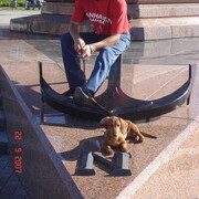 ���������� ������ ��������, ���� ����� Picasso, 21 ���, ������������ ��� ������, ����� � ���������, c�������� ���������, ���������