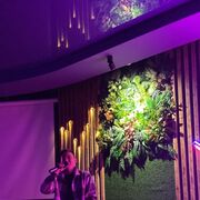 ���������� ��������, ���� ����� ZH, 20 ���, ������������ ��� ������, ����� � ���������, c�������� ���������, ���������