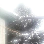 ���������� ������, ���� ������� ������, 46 ���, ������������ ��� ������, ����� � ���������, c�������� ���������