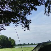 ���������� �����, ���� ������� ����, 36 ���, ������������ ��� c�������� ���������, ���������