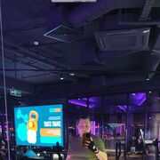 ���������� ������������, ���� ������� ���������, 42 ����, ������������ ��� c�������� ���������