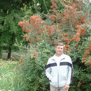  ,   , 53 ,   