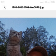 ���������� �����-���������, ���� ������� ������, 60 ���, ������������ ��� ����� � ���������, c�������� ���������