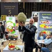  Kiskoros,   Stefano, 50 ,   ,   