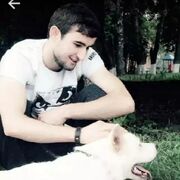  Zywiec,   Ali, 31 ,   ,   , c , 