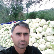  ,   , 42 ,  