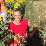  ,   , 53 ,  
