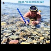 ���������� �������, ���� ������� �������, 50 ���, ������������ ��� c�������� ���������