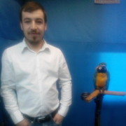  ,   Nazar, 36 ,   ,   , c , 