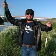  ,   , 44 ,   