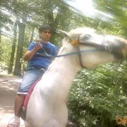  ,   Ilyush, 43 ,  