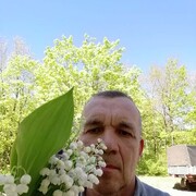  ,   , 58 ,     