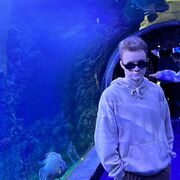 ���������� ������, ���� ����� ������, 20 ���, ������������ ��� ������, ���������