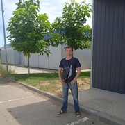 ���������� ���������, ���� ������� �����, 45 ���, ������������ ��� ������, ����� � ���������