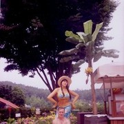  ,   , 54 ,   