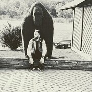 ���������� �����������, ���� ������� �����, 33 ����, ������������ ��� ������, ����� � ���������, c�������� ���������, ���������