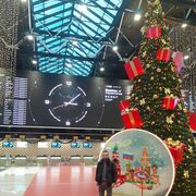 ���������� ������, ���� ������� ����, 29 ���, ������������ ��� ������, ����� � ���������